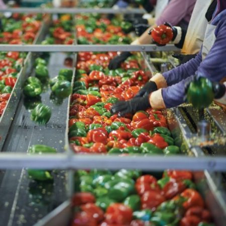 Traitement de l'eau dans l'industrie agroalimentaire