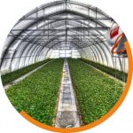 Désinfection des eaux - Serres-horticulture
